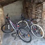 Dino Primosten